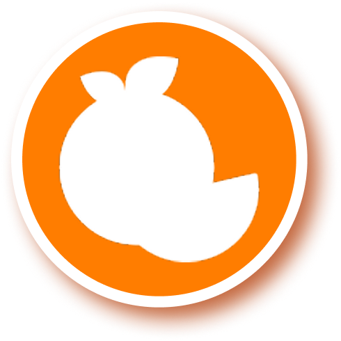 Ícone de laranja indicando o ingrediente Vitamina C.