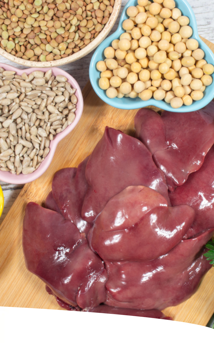Detalhe de mesa, em vista superior, com diversos alimentos ricos em ferro, como lentilhas, fígado etc.